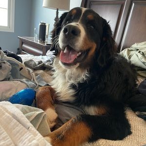 Meet your Posher, Tabatha